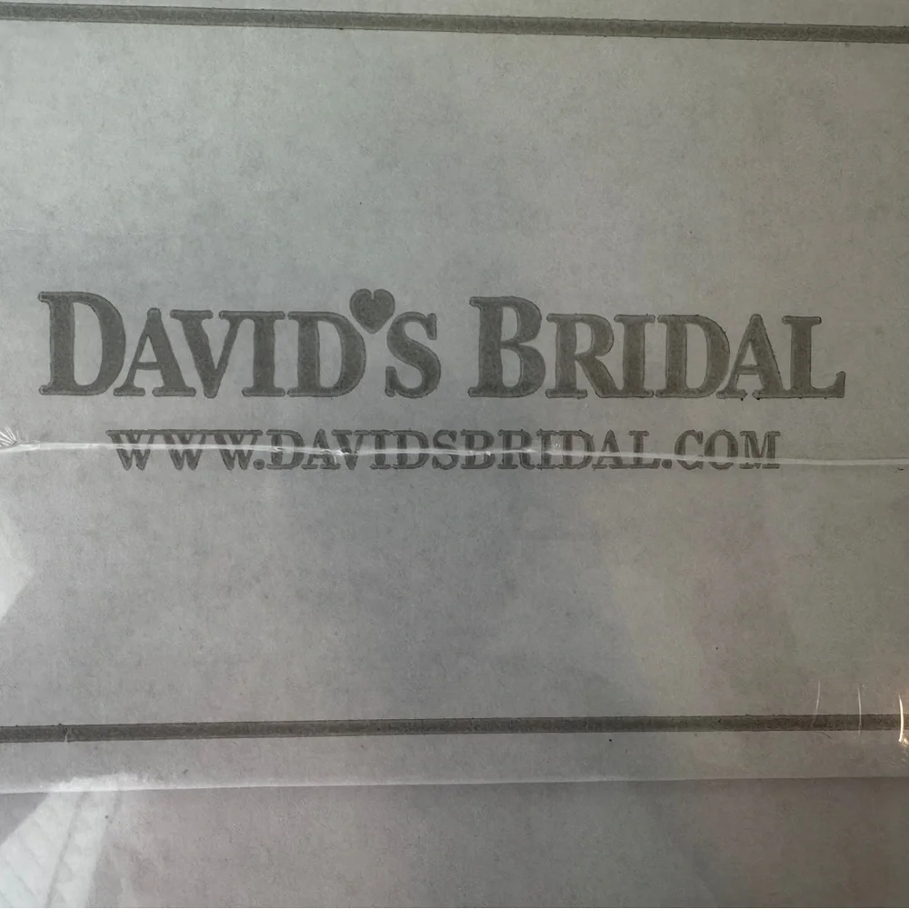 David’s Bridal Wedding Dress - Picture 8 of 8